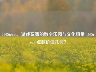100Steam，游戏玩家的数字乐园与文化纽带 100Steam点数价值几何？