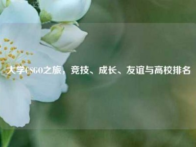 大学CSGO之旅，竞技、成长、友谊与高校排名