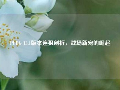 PUBG 13.1版本连狙剖析，战场新宠的崛起