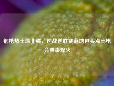 钢枪热土燃北疆，逆战逆联赛落地包头点亮电竞赛事烽火