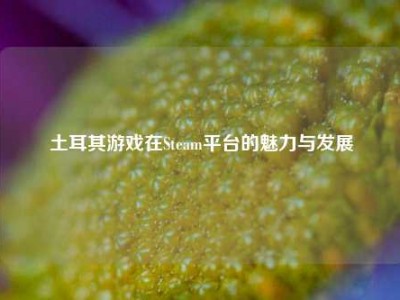 土耳其游戏在Steam平台的魅力与发展
