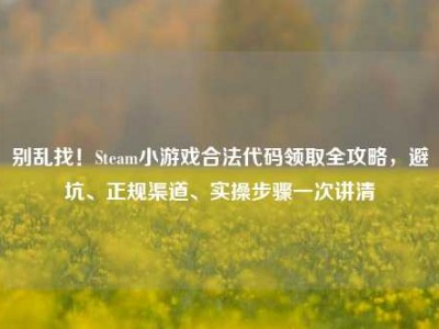 别乱找！Steam小游戏合法代码领取全攻略，避坑、正规渠道、实操步骤一次讲清