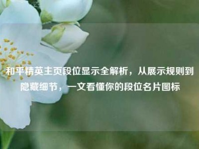 和平精英主页段位显示全解析，从展示规则到隐藏细节，一文看懂你的段位名片图标