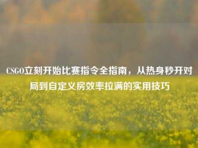 CSGO立刻开始比赛指令全指南，从热身秒开对局到自定义房效率拉满的实用技巧