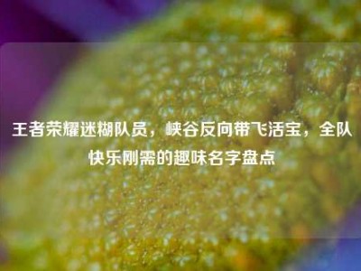 王者荣耀迷糊队员，峡谷反向带飞活宝，全队快乐刚需的趣味名字盘点