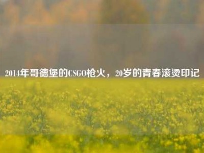 2014年哥德堡的CSGO枪火，20岁的青春滚烫印记