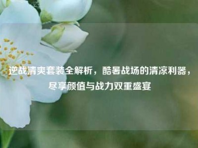 逆战清爽套装全解析，酷暑战场的清凉利器，尽享颜值与战力双重盛宴