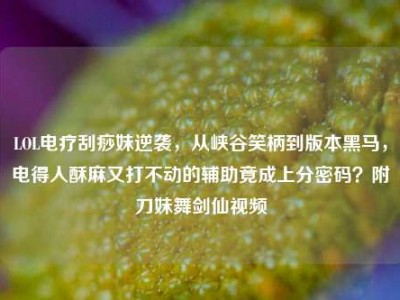 LOL电疗刮痧妹逆袭，从峡谷笑柄到版本黑马，电得人酥麻又打不动的辅助竟成上分密码？附刀妹舞剑仙视频