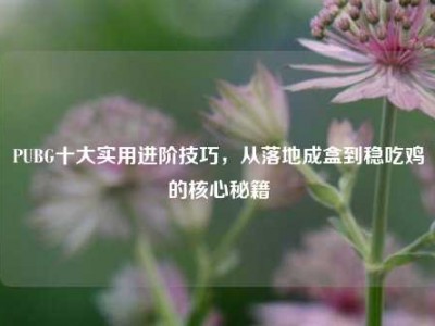 PUBG十大实用进阶技巧，从落地成盒到稳吃鸡的核心秘籍
