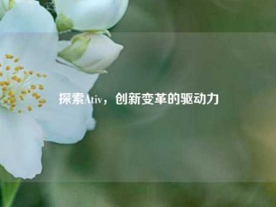 探索Ativ，创新变革的驱动力