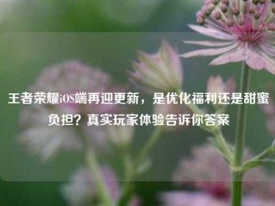 王者荣耀iOS端再迎更新，是优化福利还是甜蜜负担？真实玩家体验告诉你答案