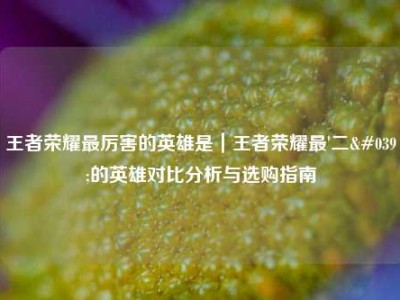 王者荣耀最厉害的英雄是｜王者荣耀最'二'的英雄对比分析与选购指南