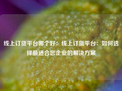 线上订货平台哪个好：线上订货平台：如何选择最适合您企业的解决方案