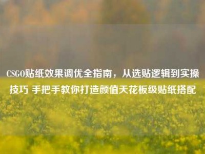CSGO贴纸效果调优全指南，从选贴逻辑到实操技巧 手把手教你打造颜值天花板级贴纸搭配