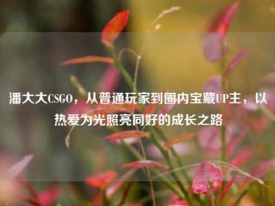 潘大大CSGO，从普通玩家到圈内宝藏UP主，以热爱为光照亮同好的成长之路
