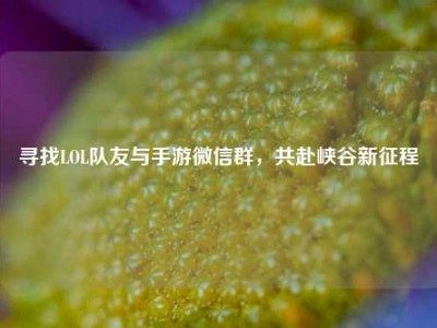 寻找LOL队友与手游微信群，共赴峡谷新征程