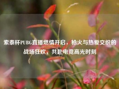 索泰杯PUBG直播燃情开启，枪火与热爱交织的战场狂欢，共赴电竞高光时刻