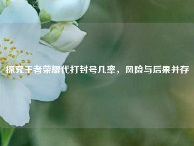 探究王者荣耀代打封号几率，风险与后果并存