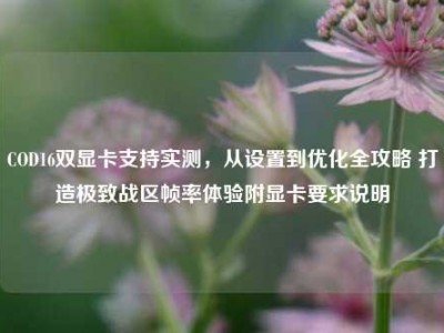 COD16双显卡支持实测，从设置到优化全攻略 打造极致战区帧率体验附显卡要求说明