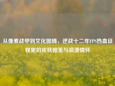 从像素战甲到文化图腾，逆战十二年FPS热血征程里的皮肤图鉴与浪漫情怀