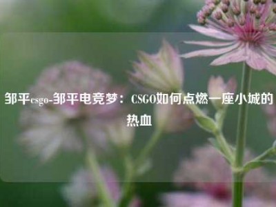 邹平csgo-邹平电竞梦：CSGO如何点燃一座小城的热血