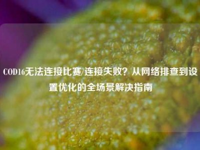 COD16无法连接比赛/连接失败？从网络排查到设置优化的全场景解决指南