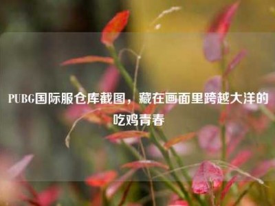 PUBG国际服仓库截图，藏在画面里跨越大洋的吃鸡青春