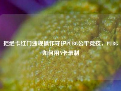 拒绝卡红门违规操作守护PUBG公平竞技，PUBG如何用N卡录制