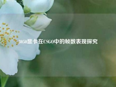 3050显卡在CSGO中的帧数表现探究