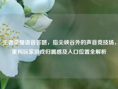 王者荣耀语音答题，指尖峡谷外的声音竞技场，重构玩家游戏归属感及入口位置全解析