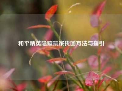 和平精英隐藏玩家找回方法与指引