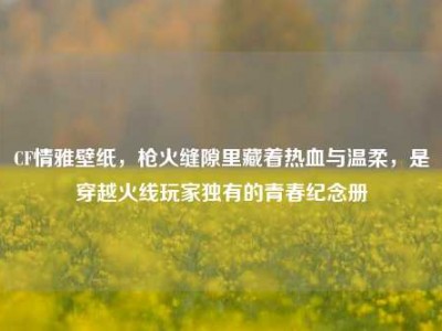 CF情雅壁纸，枪火缝隙里藏着热血与温柔，是穿越火线玩家独有的青春纪念册