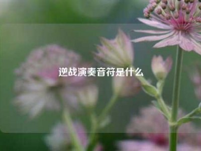 逆战演奏音符是什么