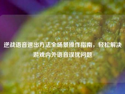 逆战语音退出方法全场景操作指南，轻松解决游戏内外语音误扰问题
