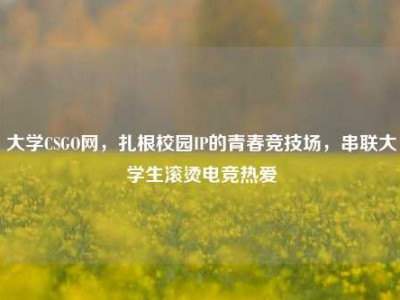 大学CSGO网，扎根校园IP的青春竞技场，串联大学生滚烫电竞热爱