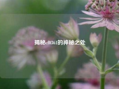 揭秘cf0361的神秘之处