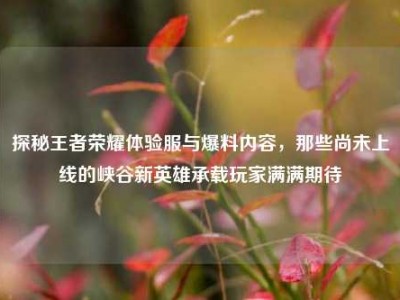 探秘王者荣耀体验服与爆料内容，那些尚未上线的峡谷新英雄承载玩家满满期待