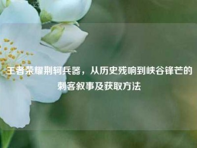 王者荣耀荆轲兵器，从历史残响到峡谷锋芒的刺客叙事及获取方法