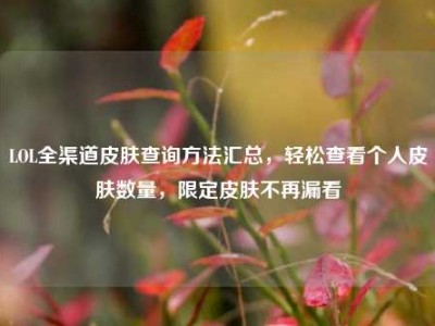 LOL全渠道皮肤查询方法汇总，轻松查看个人皮肤数量，限定皮肤不再漏看