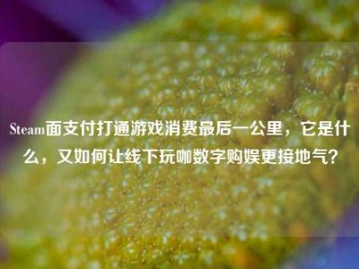 Steam面支付打通游戏消费最后一公里，它是什么，又如何让线下玩咖数字购娱更接地气？
