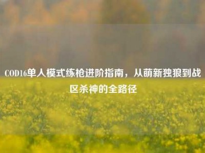 COD16单人模式练枪进阶指南，从萌新独狼到战区杀神的全路径
