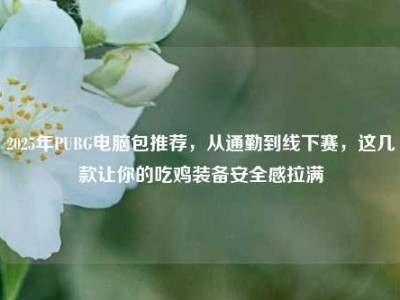 2025年PUBG电脑包推荐，从通勤到线下赛，这几款让你的吃鸡装备安全感拉满