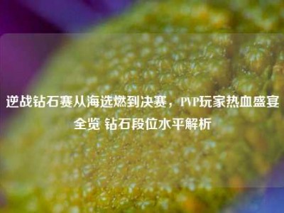 逆战钻石赛从海选燃到决赛，PVP玩家热血盛宴全览 钻石段位水平解析