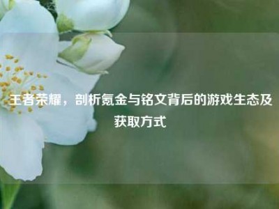 王者荣耀，剖析氪金与铭文背后的游戏生态及获取方式
