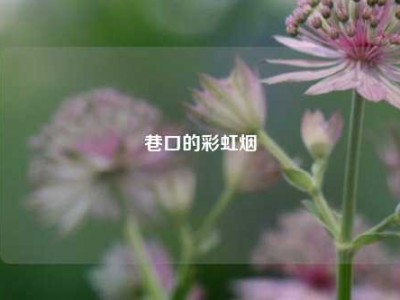 巷口的彩虹烟