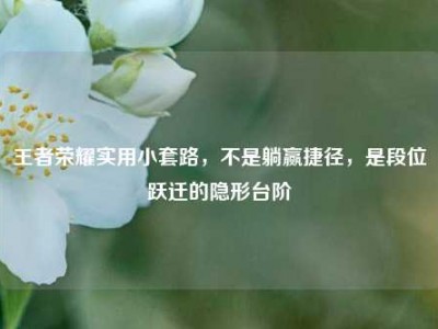 王者荣耀实用小套路，不是躺赢捷径，是段位跃迁的隐形台阶