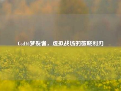Cod16梦裂者，虚拟战场的破晓利刃