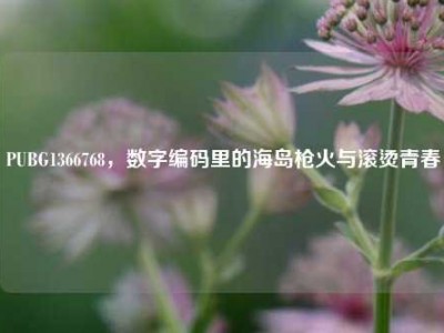 PUBG1366768，数字编码里的海岛枪火与滚烫青春