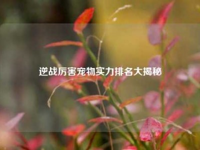 逆战厉害宠物实力排名大揭秘