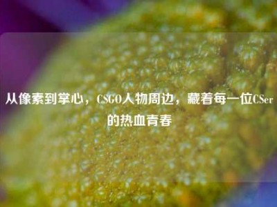 从像素到掌心，CSGO人物周边，藏着每一位CSer的热血青春